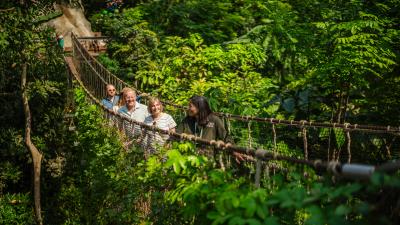 Tour walking across a wobbly bridge